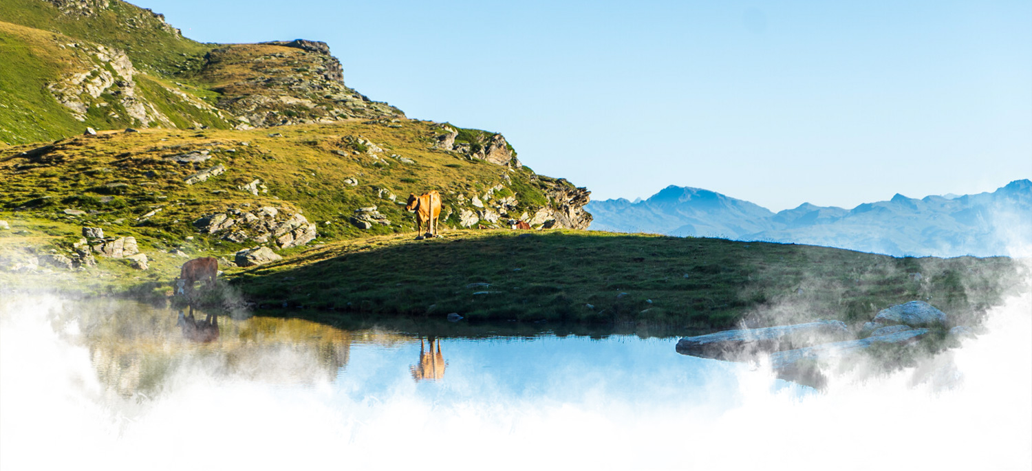 Le Hameau de la Sapinière in de zomer